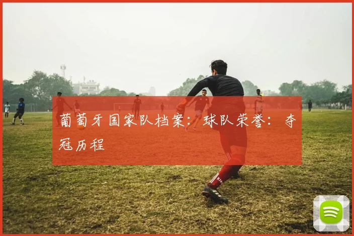 葡萄牙国家队档案：球队荣誉：夺冠历程