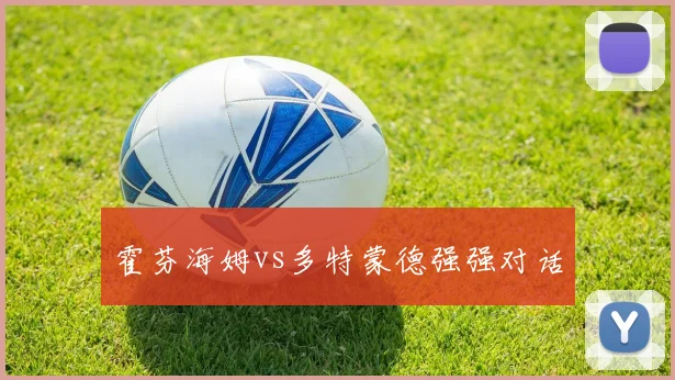 霍芬海姆vs多特蒙德强强对话