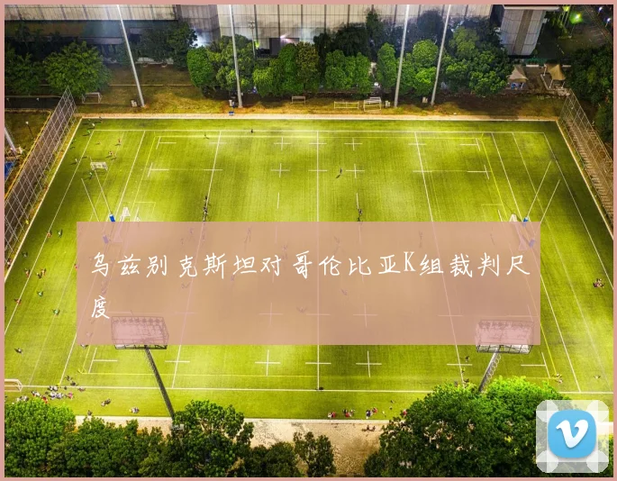 乌兹别克斯坦对哥伦比亚K组裁判尺度